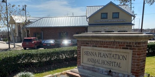Sienna Plantation Animal Hospital in Missouri City, TX